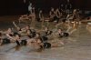 gimnastrada Sant Cugat 2018